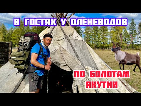 Видео: По болотам Якутии к дому. Как живут оленеводы.#якутия #оймякон #оленеводы #тундра #болота