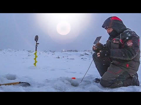 Видео: ОГРОМНЫЕ СТАИ и ТОННЫ РЫБ - НАШЛИ подо ЛЬДОМ!!!