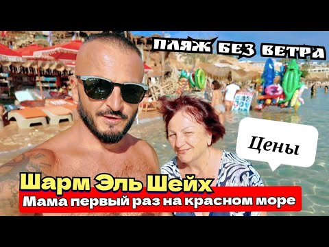 Видео: Египет 🇪🇬 Мама в восторге от красного моря /Самая Безветренная бухта для зимы / Шарм Эль Шейх 