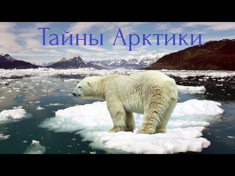 Видео: Тайны Арктики. Край суровой природы.