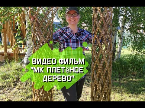 Видео: 🎥ВИДЕО фильм "МК плетёное дерево из ивы" от мастера лозоплетения🌿