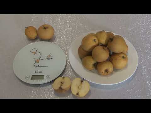 Видео: Яблука  сорту Пітмастон