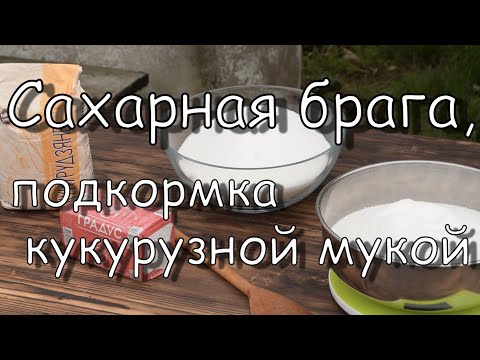 Видео: Сахарная брага, подкормка кукурузной мукой #брага #самогон/Sugar mash, top dressing with corn flour