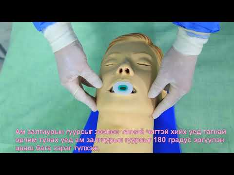 Видео: Амьсгалын зам чөлөөлөх энгийн арга