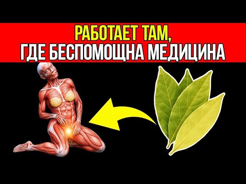 Видео: Пейте Чай Из Лаврового Листа Каждый День, И Вы Будете Поражены Результатом