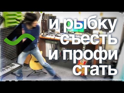 Видео: Как стать музыкантом-профи, не напрягаясь и не рискуя? (никак)