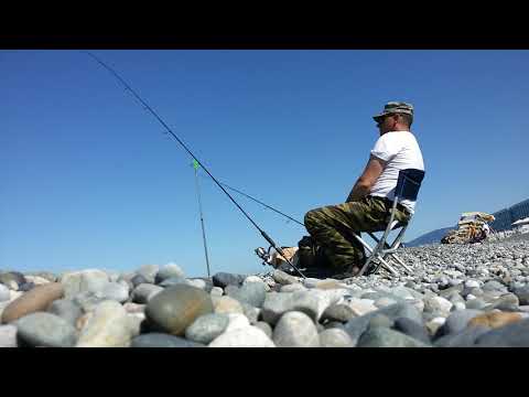 Видео: Спининг.Рыбалка на черном море.Барабуля. Ловля барабули на донку с берега.