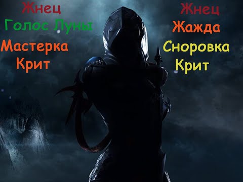 Видео: ПВЕ гайд Рипер Жнец 2.8 ♦ Т3 ♦ PVE билд Reaper ♦ АнимэДевочка