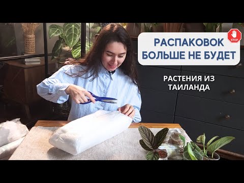 Видео: Новые РАСТЕНИЯ из ТАИЛАНДА / Последняя РАСПАКОВКА растений