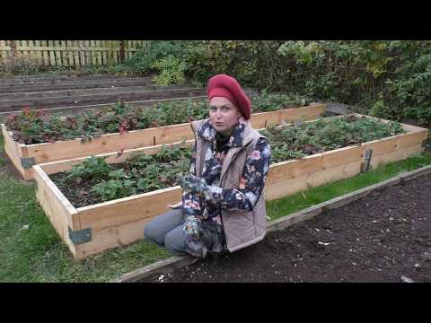 Видео: Мои высокие грядки