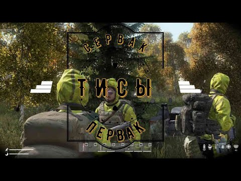 Видео: DayZ | ТИСЫ | сервер PERVAK |