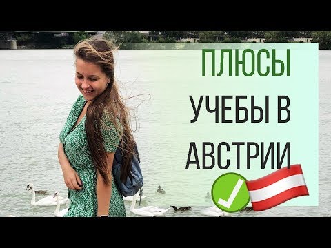 Видео: ПЛЮСЫ УЧЕБЫ в Австрии