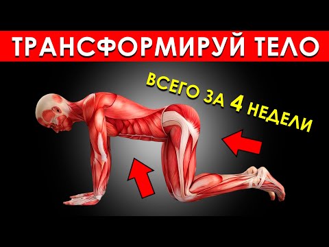 Видео: 5 Простых Упражнений Для Мужчин, Которые Трансформируют Ваше Тело Всего за 4 Недели