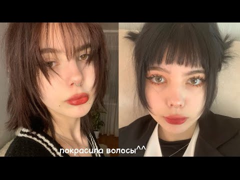 Видео: крашу/стригу волосы (новая причёска)