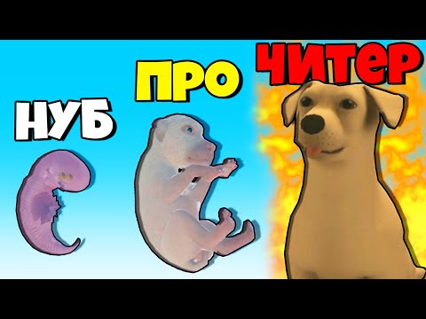 Видео: ЭВОЛЮЦИЯ ЖИЗНИ СОБАКИ, МАКСИМАЛЬНЫЙ УРОВЕНЬ! | Dog Life Simulator