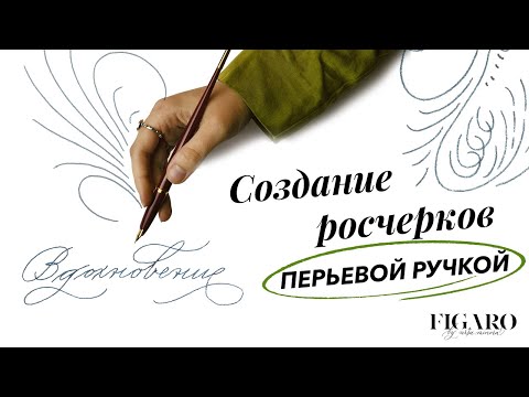 Видео: Создание росчерков в каллиграфии при помощи перьевой ручки