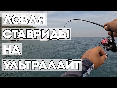 Видео: Мой рекорд по количеству рыбы в Таиланде. Шикарно половил ставриду на силикон с пирса.