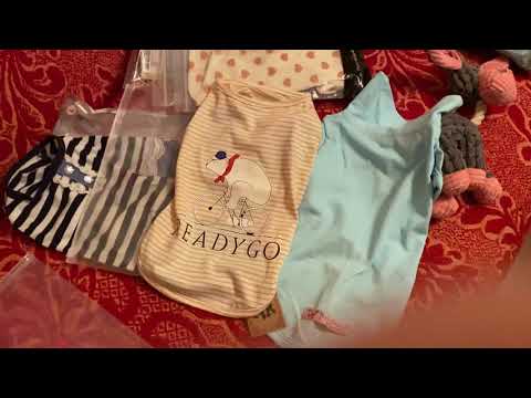 Видео: AliExpress. Распаковка посылки с одеждой для собак.