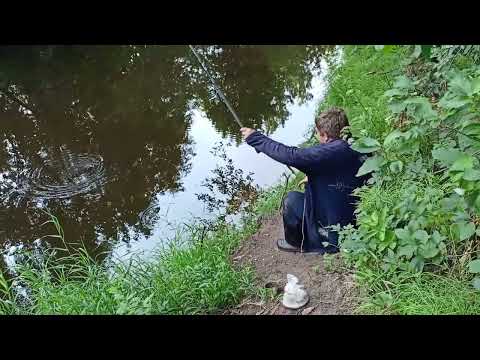 Видео: На вечерней  рыбалке Берег реки Перетна