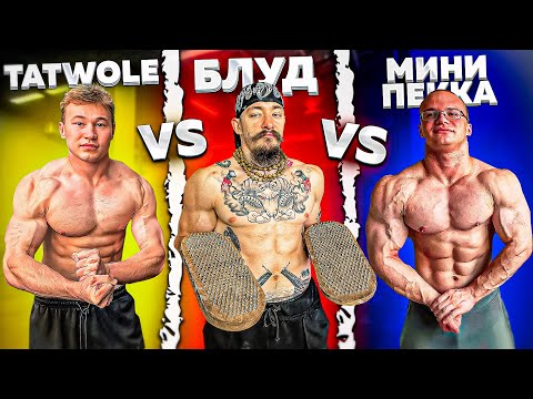 Видео: БЛУД VS TATWOLE VS МИНИ ПЕККА // ЗАРУБА В ТЯГЕ