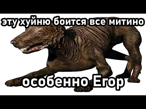 Видео: ПРОХОЖДЕНИЕ S.T.A.L.K.E.R. НА СТРИМЕ ЕГОРА ДАЙ БОГ ЕМУ ЗДОРОВЬЯ (часть 4) | Nostoro нарезки Егора