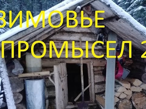 Видео: Тайга Зимовье  Промысел 2