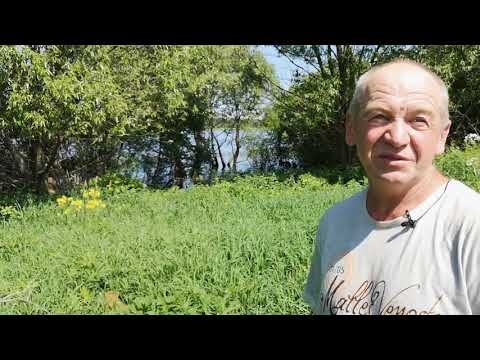 Видео: Учма. Следы монастыря