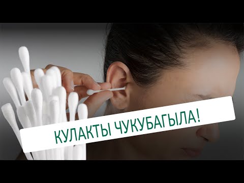 Видео: КУЛАКТЫ ЧУКУБАГЫЛА!