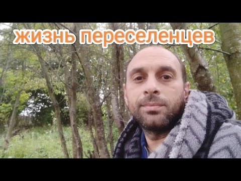 Видео: Жизнь переселенцев: Срочно нужна помощь 