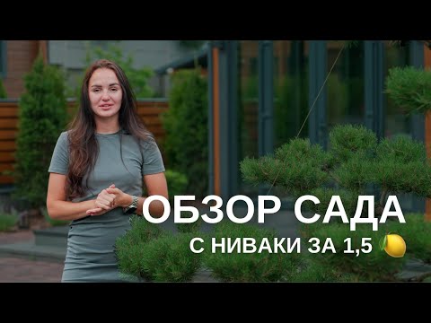 Видео: Дерево за 1,5 МИЛЛИОНА 🍋 Озеленение участка в подмосковном коттеджном поселке Михалково парк