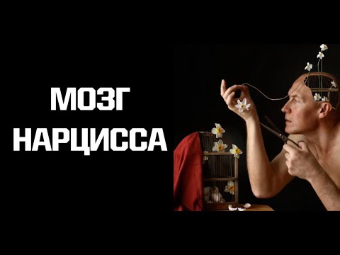 Видео: Как устроен мозг нарцисса? Актуальные исследования.
