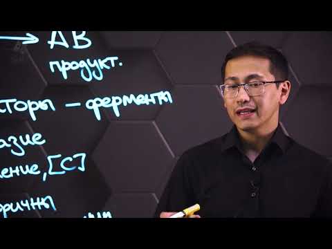 Видео: Механизм действия ферментов. 9 класс.