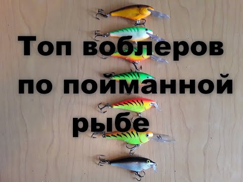 Видео: Топ воблеров по объему пойманной рыбы