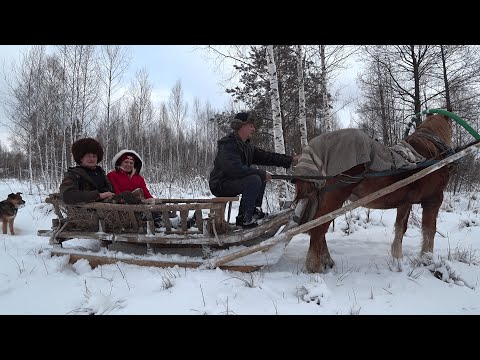 Видео: КУПИЛ ХУТОР в ЛЕСУ на КРАЮ БОЛОТА. НИКТО НЕ ОЖИДАЛ ТАКОЙ КРАСОТЫ!!! №179.