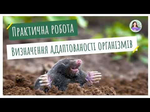 Видео: Практична робота. Визначення ознак адаптованості різних організмів до середовища існування