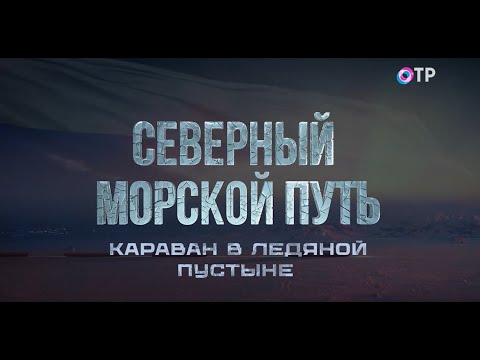 Видео: Караван в ледяной пустыне. Почему не все корабли могут проложить себе путь самостоятельно?