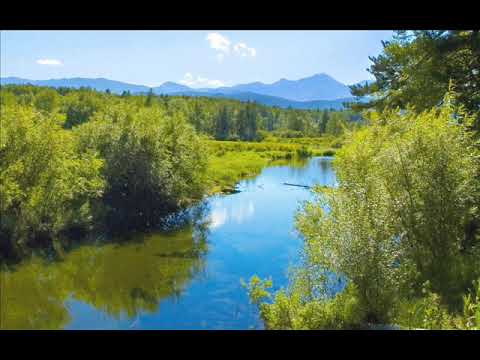 Видео: Луна в Овне