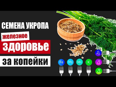 Видео: Семена укропа – источник железного здоровья на наших огородах