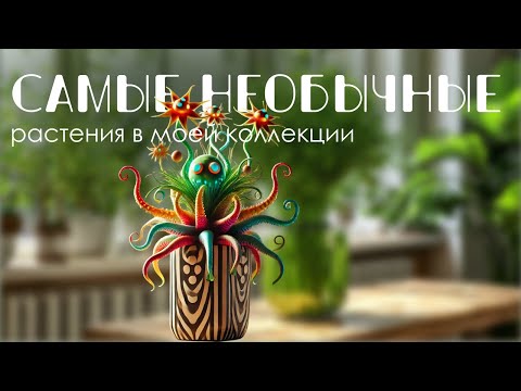 Видео: Самые редкие и необычные растения в моей коллекции.