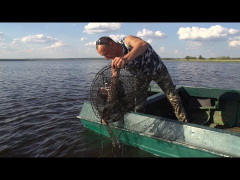 Видео: Охотник на браконьеров. 30 серия. Каменское водохранилище. Часть 2