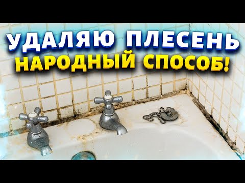 Видео: Из ванной ушла плесень и грибок. Покажу, как сделать средство, которое очистит всё до белоснежности.