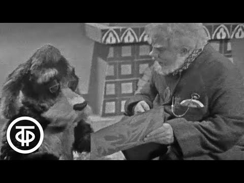 Видео: Спокойной ночи, малыши! Сказки дедушки Так-Така. Волшебный фонарь. Золушка (1971)