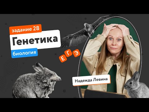 Видео: Генетика: задание 28 из ЕГЭ-2022 по биологии | Биология ЕГЭ | «Фоксфорд»