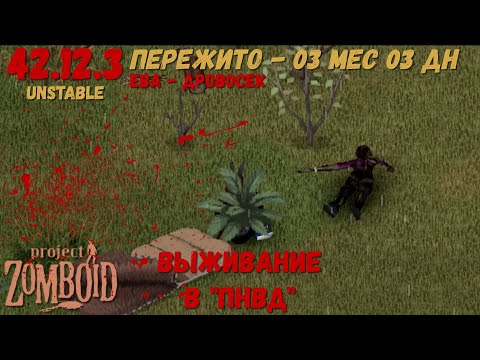 Видео: Project Zomboid I 42 билд I v. 12.3  I ПНВД I 16 стрим I 08 сезон I
