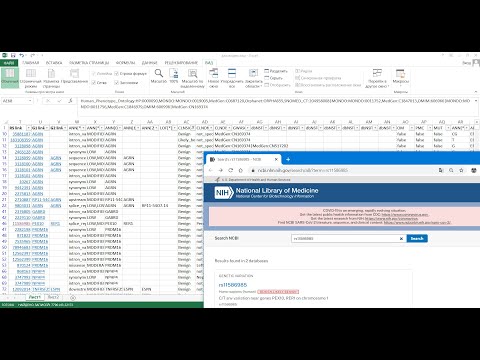 Видео: Обработка результатов секвенирования для новичков. 3. Анализ аннотированных файлов в Excel