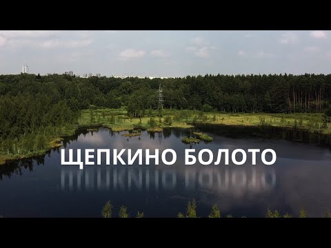 Видео: DJI MAVIC MINI | Озеро "Щепкино Болото"