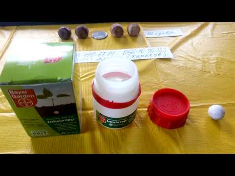 Видео: ЛУЧШАЯ ЗАЩИТА ОТ ХРУЩА-инициатор!!!