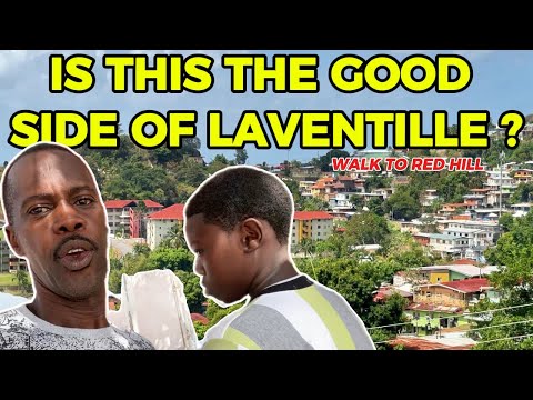 Видео: Прогулка к Красной горе в Лавентилле #любовьвдоме