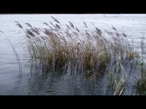 Видео: 22. О земных поклонах и других нагрузках