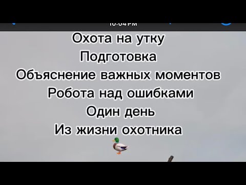 Видео: ОХОТА НА УТКУ, ОТЛИЧНЫЙ РЕЗУЛЬТАТ, ОБЪЯСНЕНИЯ ВАЖНЫХ МОМЕНТОВ, ОКТЯБРЬ 2025 #охота #hunting #fishing
